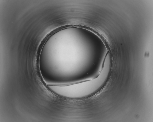 X0000094430880200711151340
