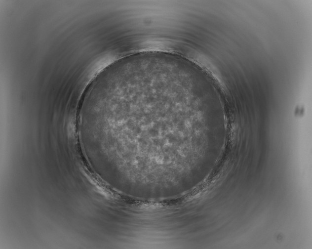 X0000094430882200711151340