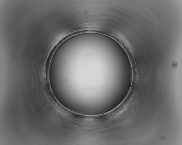 X0000094430883200711151340