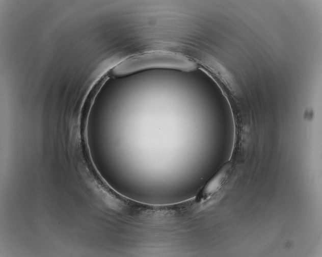 X0000094430884200711151340