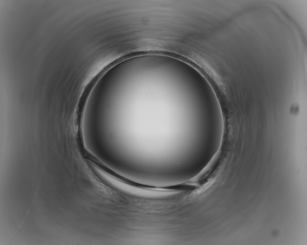 X0000094430885200711151340
