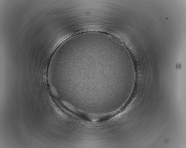 X0000094430889200711151339