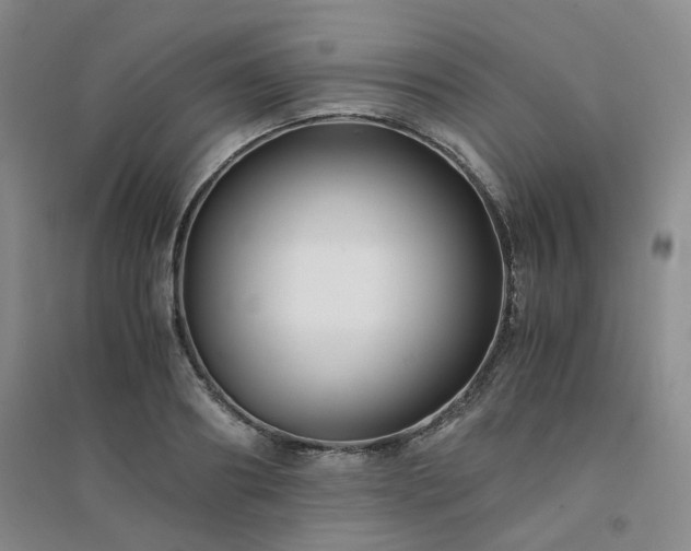 X0000094430890200711151339