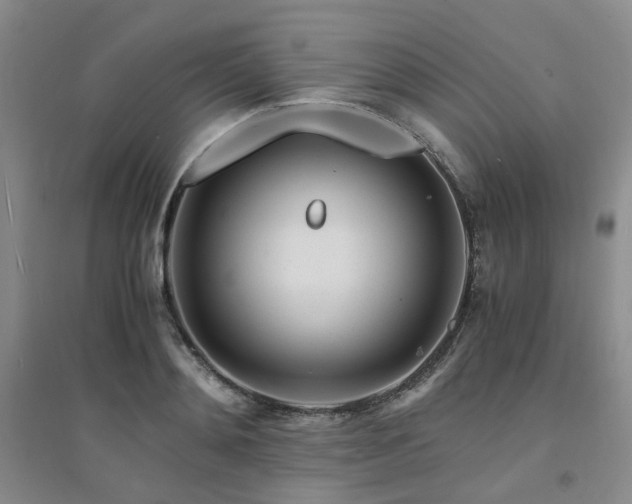 X0000094430892200711151339