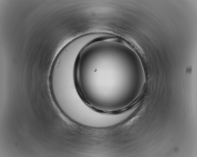 X0000094430893200711151339