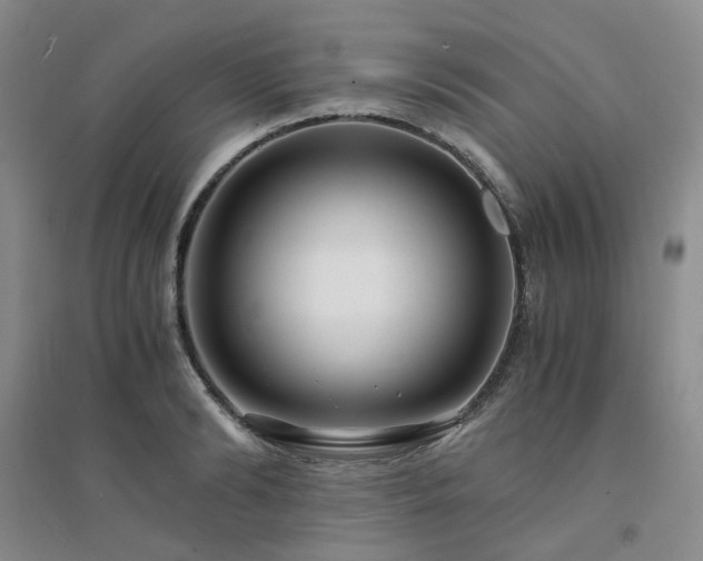 X0000094430894200711151339