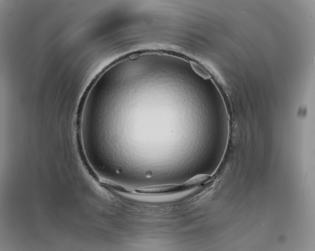 X0000094430895200711151339