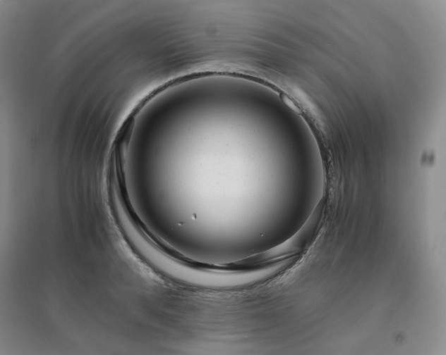X0000094430896200711151339
