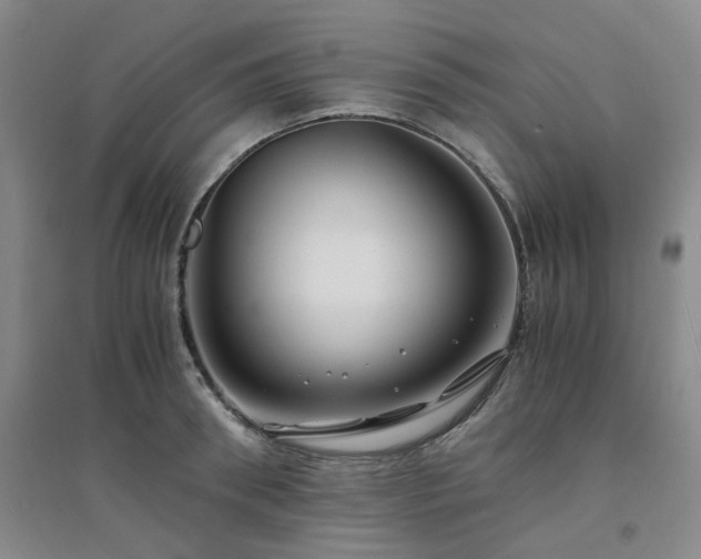 X0000094430898200711151339