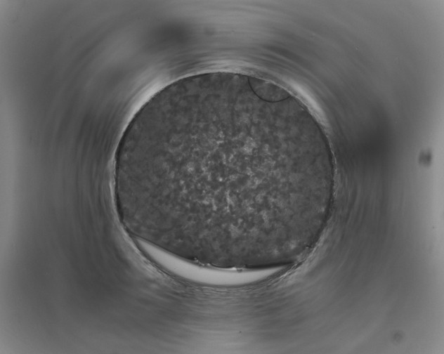 X0000094430899200711151339