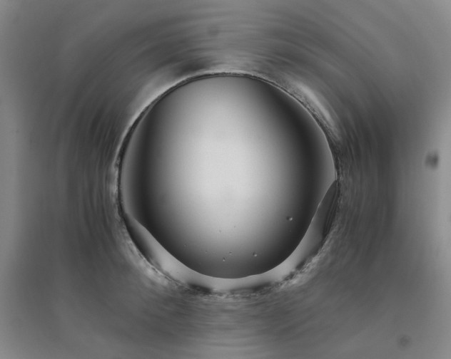 X0000094430900200711151339
