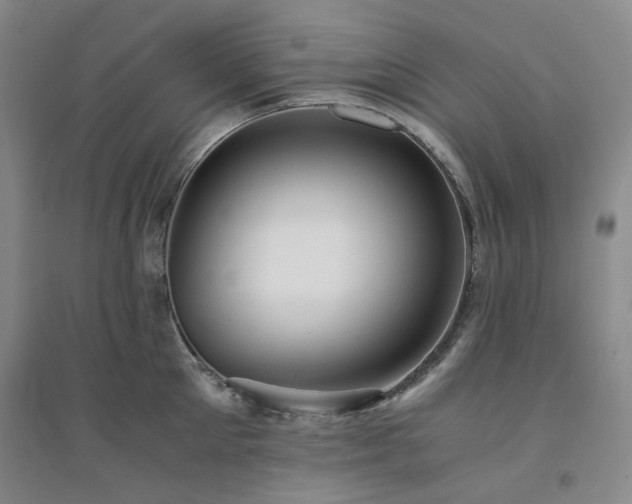 X0000094430905200711151339