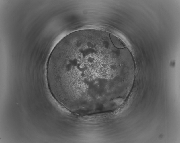 X0000094430907200711151339