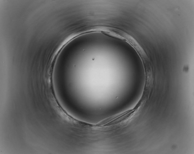 X0000094430908200711151339