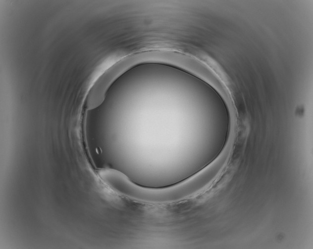 X0000094430909200711151339