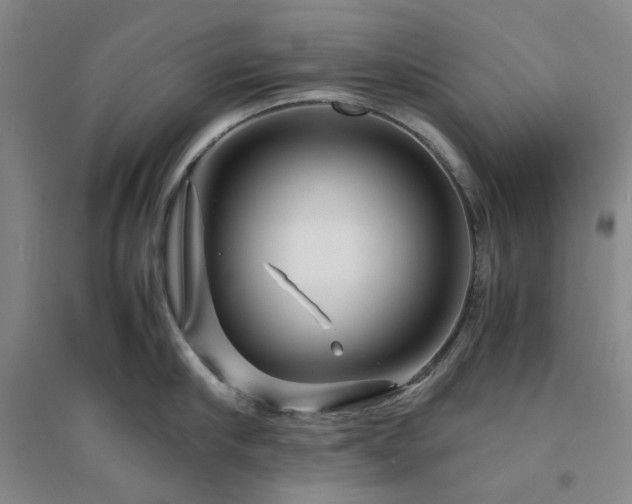 X0000094430910200711151339