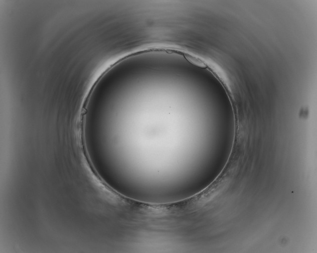 X0000094430911200711151339