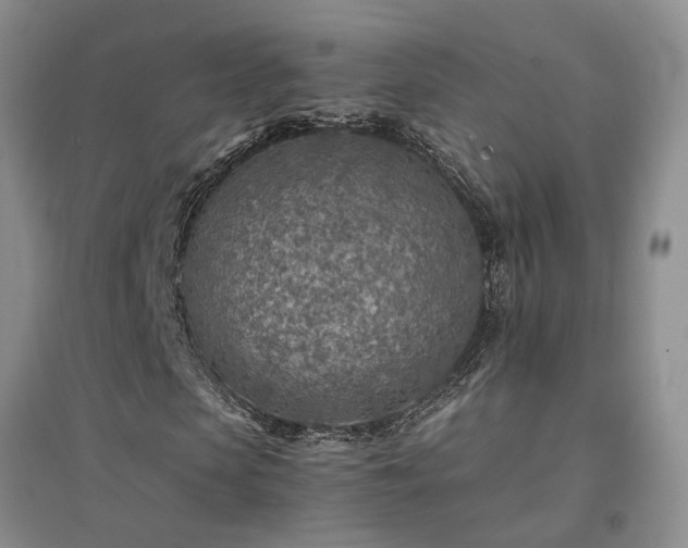 X0000094430913200711151338
