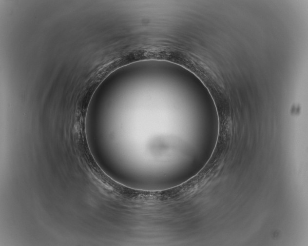 X0000094430914200711151338
