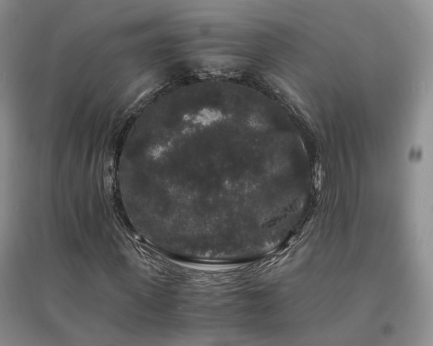X0000094430915200711151339