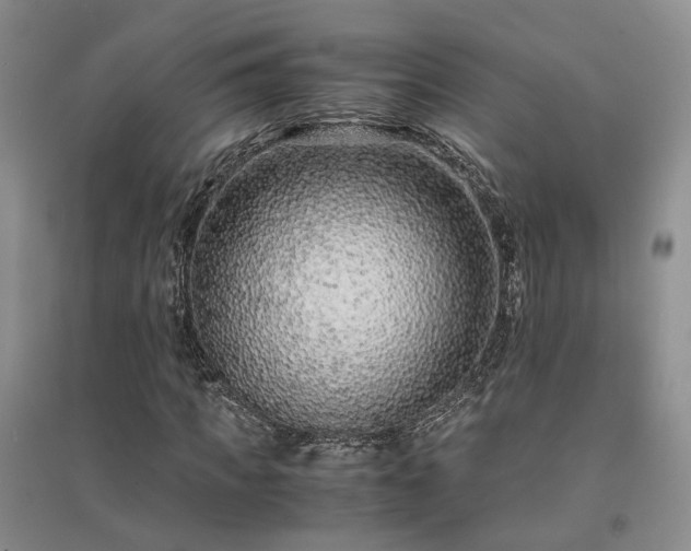 X0000094430917200711151339
