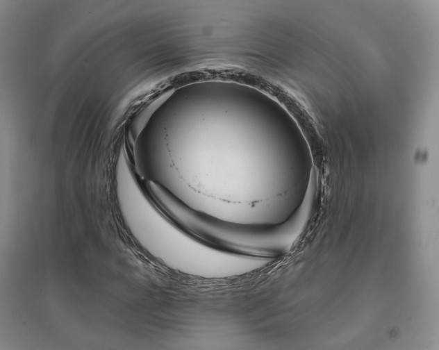 X0000094430920200711151339