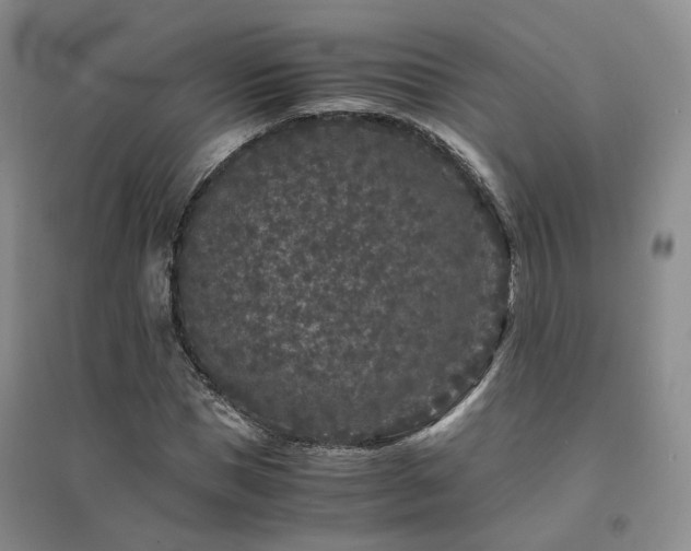 X0000094430921200711151339