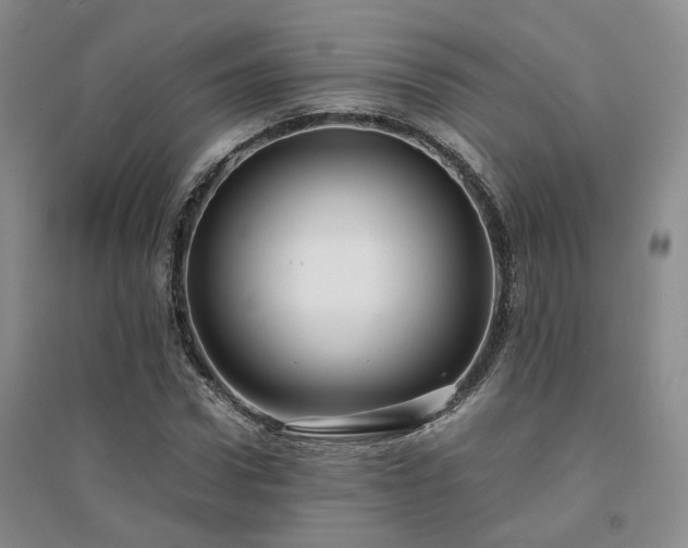 X0000094430922200711151339