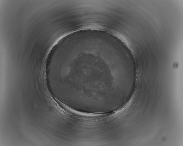 X0000094430923200711151339