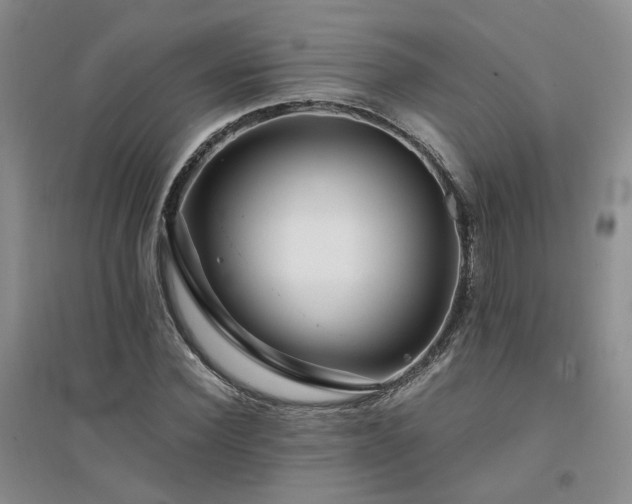 X0000094430924200711151339