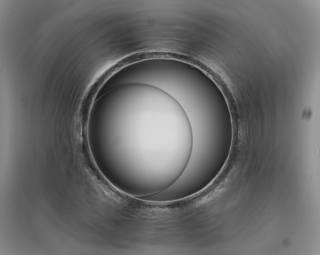 X0000094430925200711151339