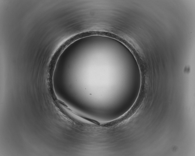 X0000094430926200711151339