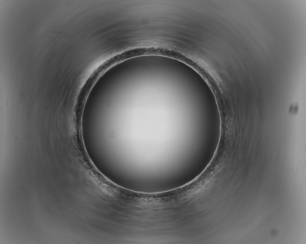 X0000094430927200711151339
