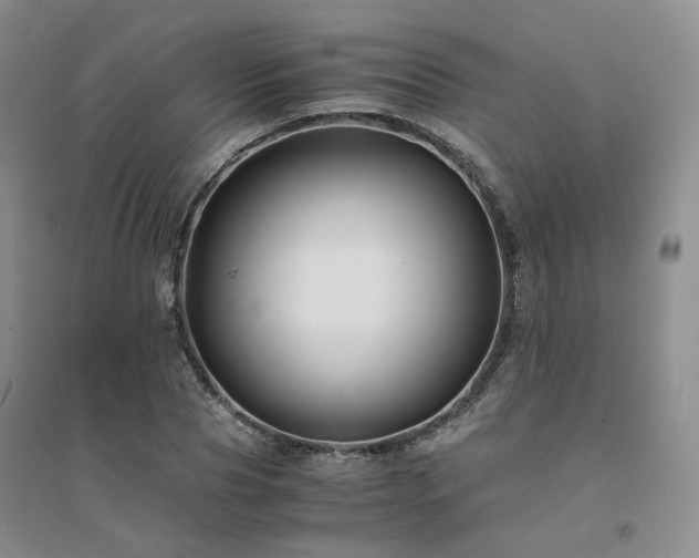 X0000094430929200711151339