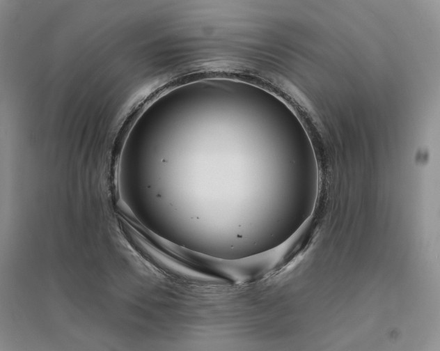 X0000094430930200711151339
