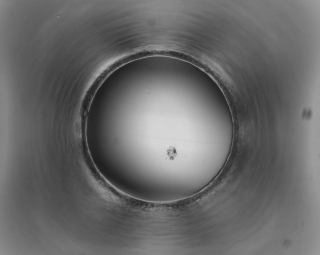 X0000094430934200711151339