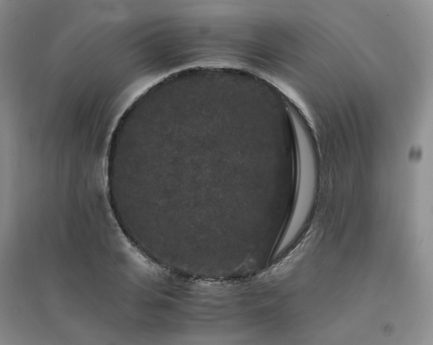 X0000094430935200711151339