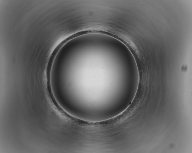 X0000094430936200711151339