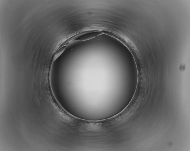 X0000094430937200711151339