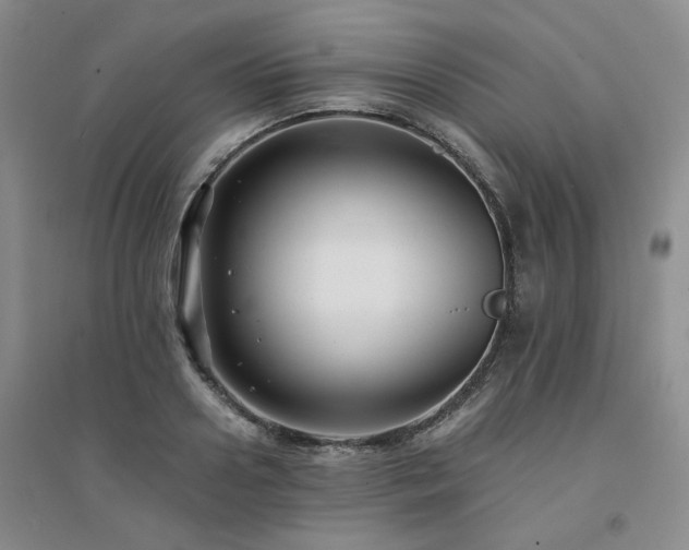 X0000094430938200711151339
