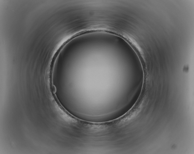 X0000094430941200711151339