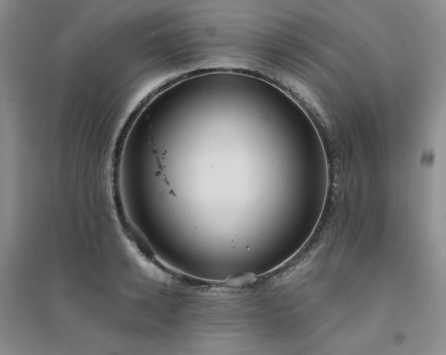 X0000094430942200711151339
