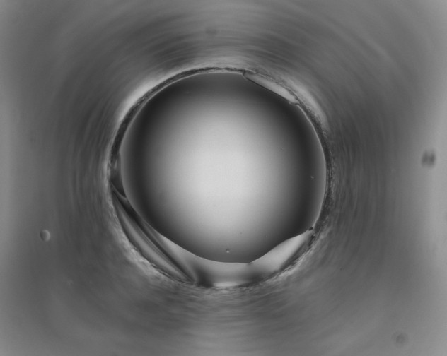 X0000094430944200711151339