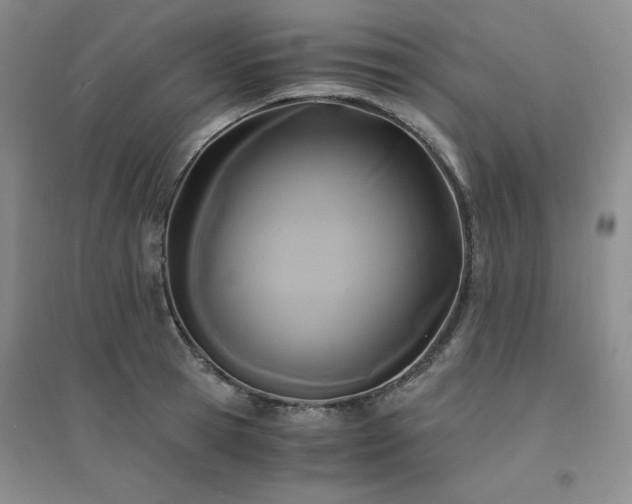 X0000094430945200711151339