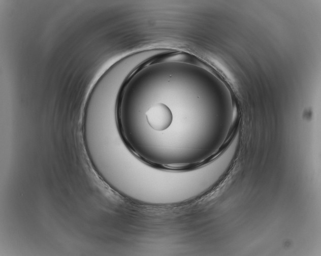 X0000094430948200711151339