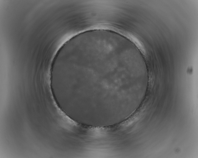 X0000094430950200711151339