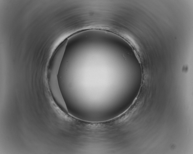 X0000094430952200711151339