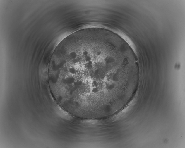 X0000094430953200711151339