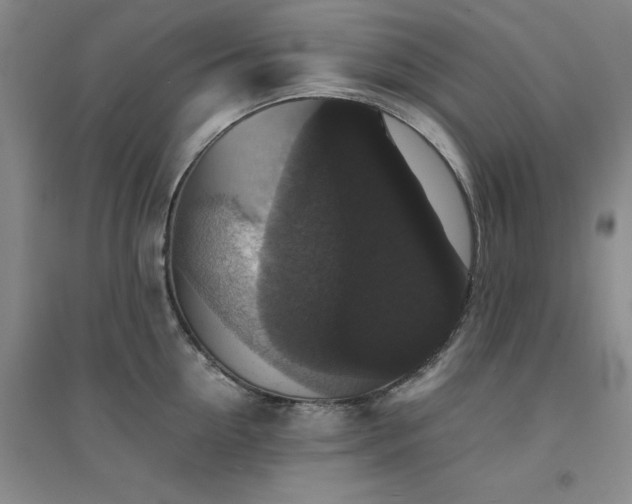 X0000094430954200711151339