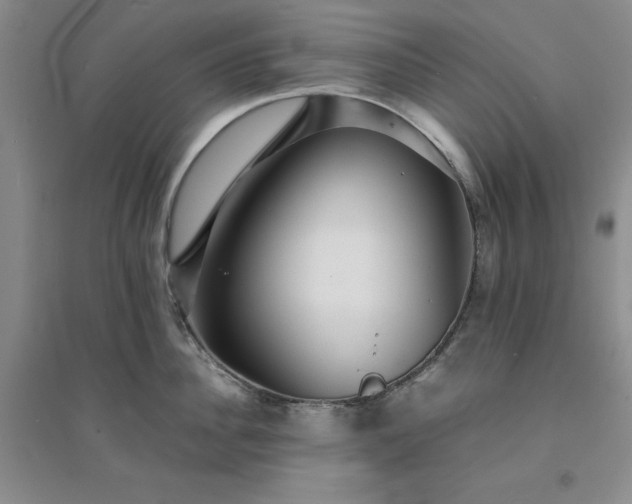 X0000094430956200711151339